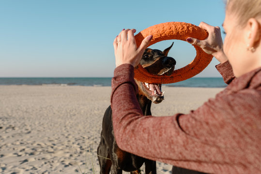 Girl playing with Doberman on beach