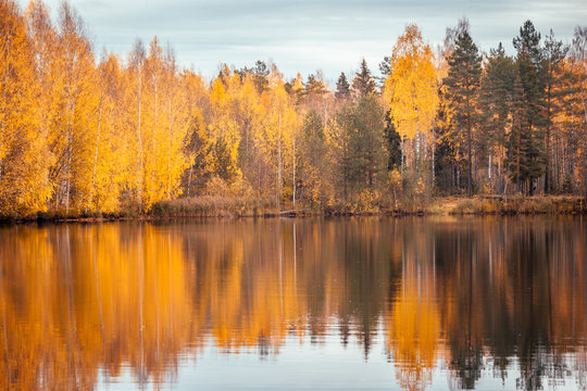 Красивый осенний лес отражается в зеркале пруда © Dmitrii