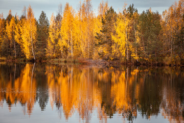Красивый осенний лес отражается в зеркале пруда