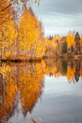 Красивый осенний лес отражается в зеркале пруда