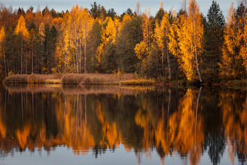 Красивый осенний лес отражается в зеркале пруда