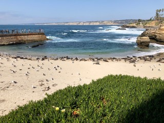 beach and sea