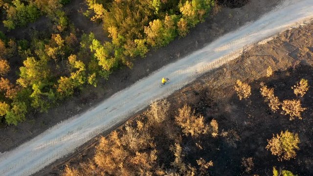 Aerial view of man in yellow raincoat is riding along rural road and scorched earth in autumn forest at sunset. Drone video of contryside landscape and bicyclerg