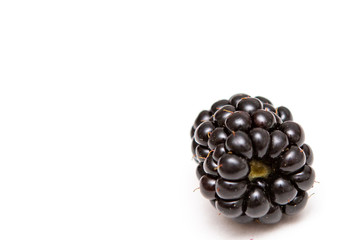 Autumn vegetables on white background. Vegetable background.