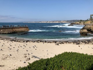 view of beach and sea