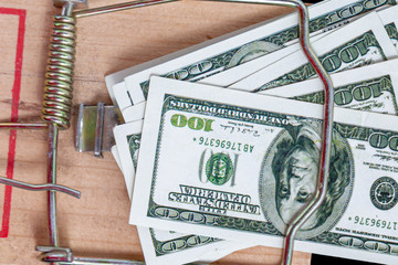 American dollar bills in a mousetrap close up. Concept: financial trap, lending, debt.