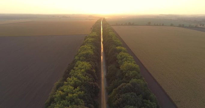 Aerial drone flight over road on sunset to Ternopil, Ukraine, 4k