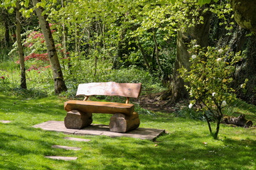 Wooden bench in the park
