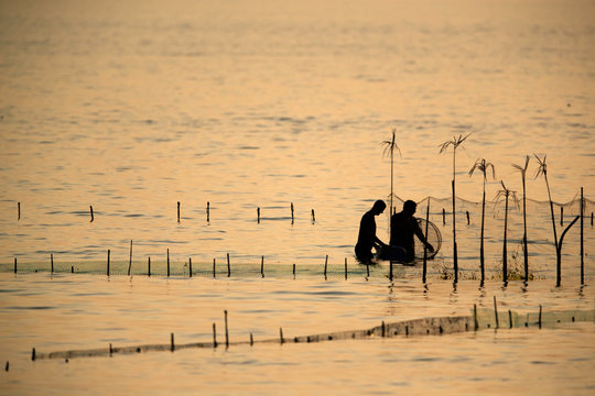 Fishermen collecting fishes from the net, Bahrain 