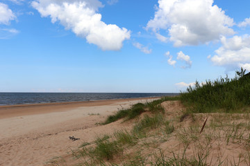 Grassy dune on a sandy beach at the Baltic Sea in Latvia on a cloudy summer day. 