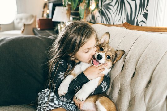 a girl and her corgi