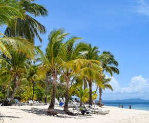 Beach with palms and white sand and deck chairs in front of the ocean, caribbean island cayo levantado