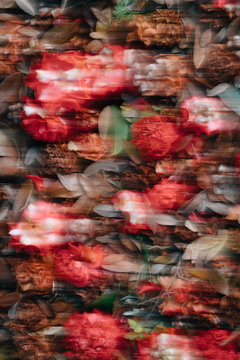 Flower Blur