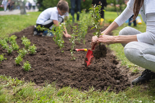 Volunteering families