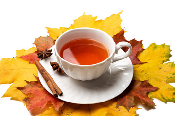 A cup of tea on yellow and red foliage isolated on a white background