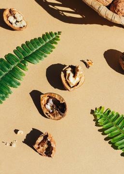 Close up of walnuts