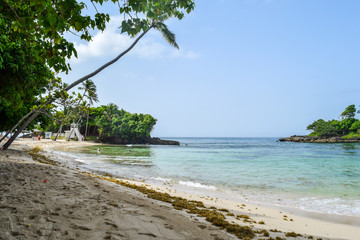 Beach of caribbean island cayo levantado