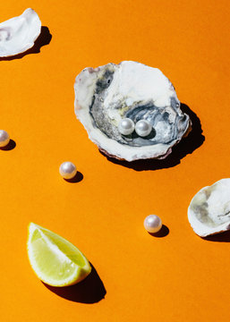 Oysters