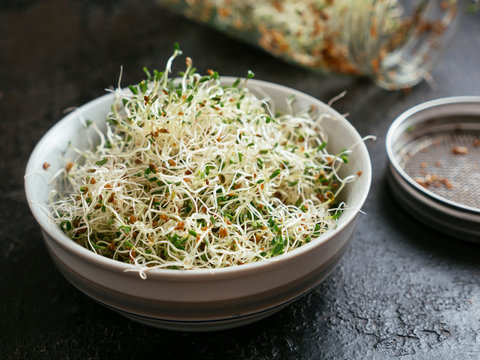 Alfalfa sprouts