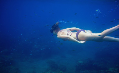 Fototapeta na wymiar Woman swimming in blue water. Female snorkel underwater photo. Freediver in blue seawater of tropical lagoon.