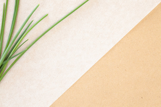 Fresh chives and parchement paper background shot from above as background and abstract culinary design