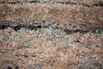 Moss and Stone
