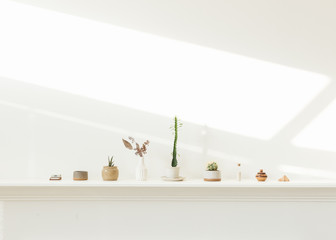 Still life of ceramics and green plants on fire mantle in minimalist artist studio