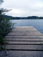 Very natural view of the lake in Vulkaneifel Drei Maare Eifel Germany