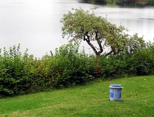Very natural view of the lake in Vulkaneifel Drei Maare Eifel Germany