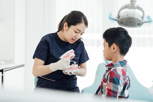 Female dentist showing kids teeth model in clinic