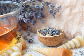 Lavender herbal tea, Flowers in walnut shell, Alternative medicine, Background