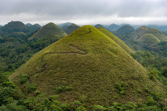 Views of Chocolate Hills