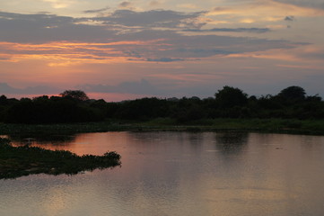 Obraz na płótnie Canvas Panoramic beautiful sunset in Pantanal landscape from Brazil. Brazilian nature along Transpantaneira road. Cuiabá, Mato Grosso, Brazil