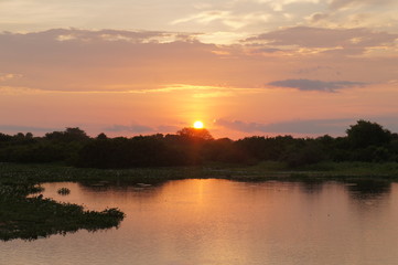 Fototapeta na wymiar Panoramic beautiful sunset in Pantanal landscape from Brazil. Brazilian nature along Transpantaneira road. Cuiabá, Mato Grosso, Brazil