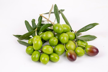 Green fresh olive on the white background