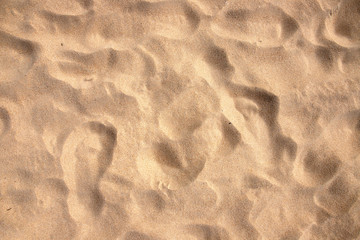 Beach sand texture with step marks, top view photo. Tropical beach banner template. White sand under hot sun