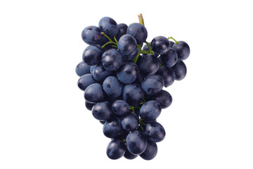 blue grape isolated on a white background. Food