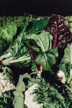 group fo Cauliflower and chard