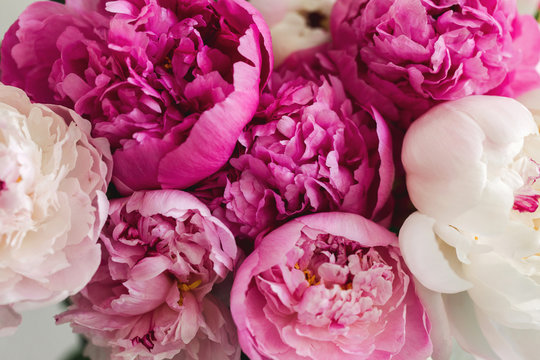 close up image of a variety of peonies