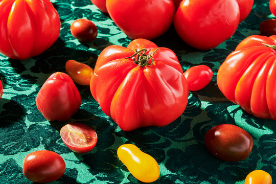 Close up of various tomatoes
