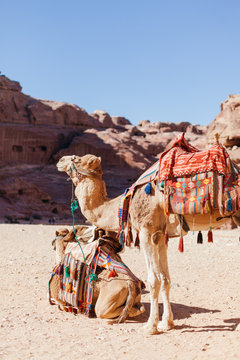 Exploring the ancient city of Petra, Jordan