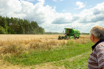 In the fields, the season of harvesting grain.