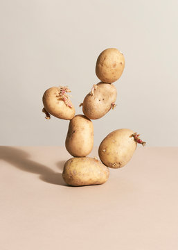 Potatoes still life