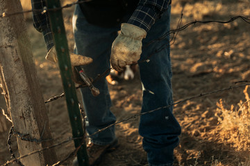 Rancher fixing barbed wire fence