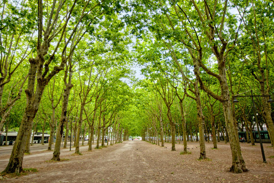 Place des Quinconces in Bordeaux