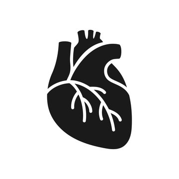 Black icon of human heart in flat style isolated over white background. Vector illustration