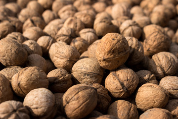 Inshell walnuts dried in the sun, background. Harvesting. Juglans regia, the Persian walnut, English walnut, Carpathian walnut, Madeira walnut common walnut
