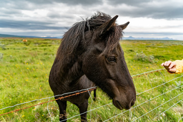 Obraz premium Island