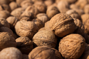 Inshell walnuts dried in the sun, background. Harvesting. Juglans regia, the Persian walnut, English walnut, Carpathian walnut, Madeira walnut common walnut