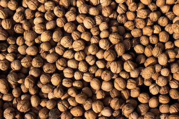 Inshell walnuts dried in the sun, background. Harvesting. Juglans regia, the Persian walnut, English walnut, Carpathian walnut, Madeira walnut common walnut